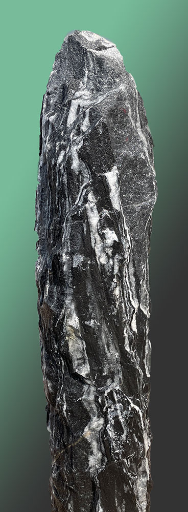 Zebra Monolith 4064